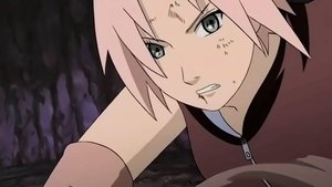 Naruto Shippuuden Odcinek 24