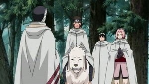 Naruto Shippuuden Odcinek 212