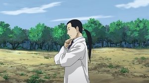 Fullmetal Alchemist: Brotherhood Wspólnymi siłami
