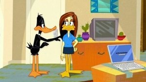 Looney Tunes Show Rysie na trzy / Laser