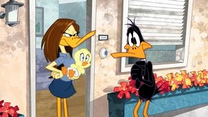 Looney Tunes Show To moje dziecko / Skunksi funk / Kamo-kojot