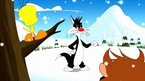 Looney Tunes Show Śmieszna podróż