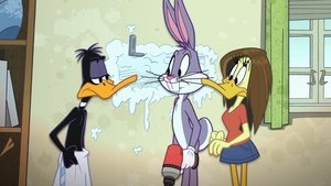 Looney Tunes Show Półka / Tandeta / Przepadł z wiatrem