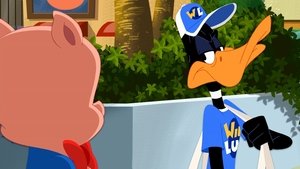 Looney Tunes Show Rozwiń skrzydła i leć