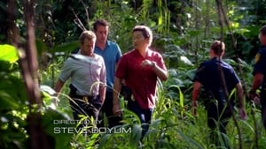 Hawaii 5.0 Odcinek 17