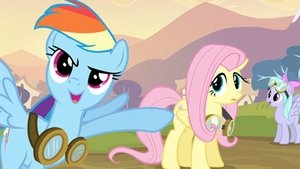 My Little Pony: Przyjaźń to magia Huraganowa Fluttershy