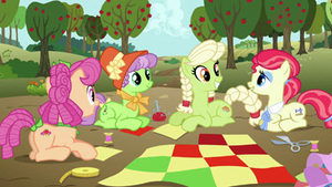 My Little Pony: Przyjaźń to magia Zjazd rodziny Apple