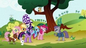 My Little Pony: Przyjaźń to magia Maud Pie