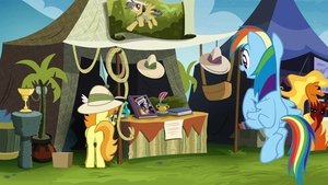 My Little Pony: Przyjaźń to magia Targi wymiany