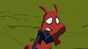 Mega Spider-Man Biegnij, świnko, biegnij!