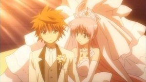 To LOVE-Ru Odcinek 26