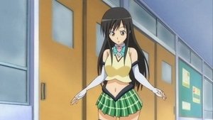 To LOVE-Ru Odcinek 8