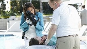 CSI: Kryminalne zagadki Miami Odcinek 20