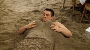Przyjaciele Ten na plaży
