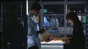 CSI: Kryminalne zagadki Miami Odcinek 7