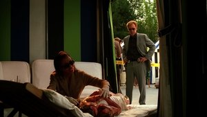 CSI: Kryminalne zagadki Miami Odcinek 15