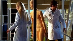 CSI: Kryminalne zagadki Miami Odcinek 4