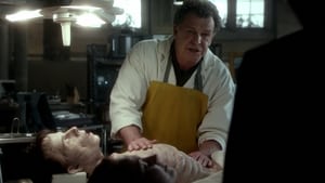 Fringe: Na granicy światów Krótka historia o miłości