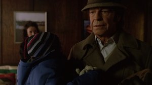 Fringe: Na granicy światów Peter
