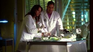 CSI: Kryminalne zagadki Miami Odcinek 5