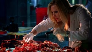 CSI: Kryminalne zagadki Miami Odcinek 21