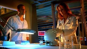 CSI: Kryminalne zagadki Miami Odcinek 18