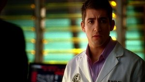 CSI: Kryminalne zagadki Miami Odcinek 11