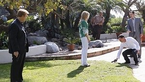 CSI: Kryminalne zagadki Miami Odcinek 21