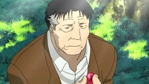 Fullmetal Alchemist Odcinek 14
