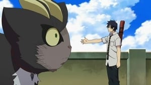Blue Exorcist Czarny kot
