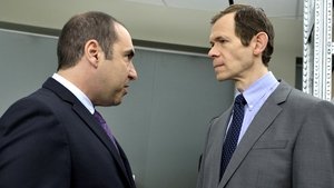 W garniturach Kot jest mój