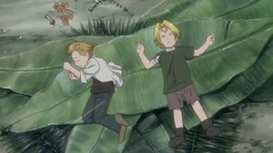 Fullmetal Alchemist Odcinek 28