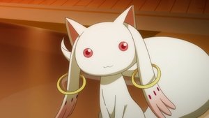 Mahou Shoujo Madoka★Magica Byłoby wprost wspaniale