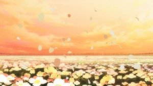 Mahou Shoujo Madoka★Magica Nigdy tego nie pożałuję