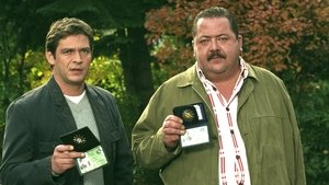 Die Rosenheim-Cops Odcinek 20