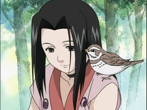 Naruto Odcinek 12