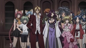 High School DxD Wyzywam cię na pojedynek