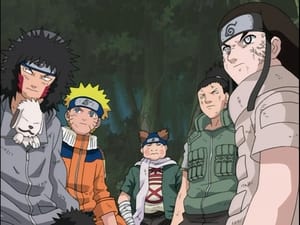Naruto Odcinek 113