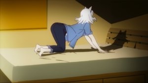 Monogatari Series Tygrys Tsubasa, część piąta