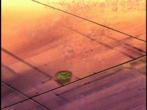 Beyblade - Latające dyski Odcinek 44