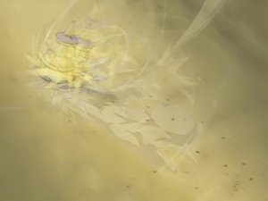 Beyblade - Latające dyski Odcinek 10