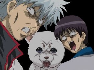 Gintama Odcinek 24