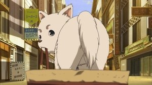 Gintama Odcinek 13