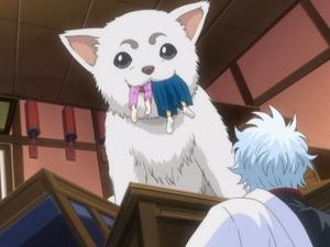Gintama Odcinek 45
