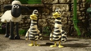 Baranek Shaun Odcinek 28