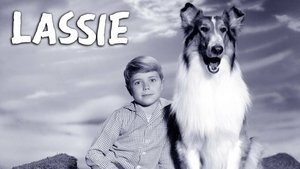 Lassie Odcinek 10