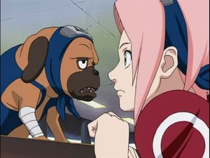 Naruto Odcinek 69