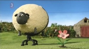 Baranek Shaun Odcinek 34