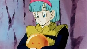Dragon Ball Z Powodzenia Bulmo