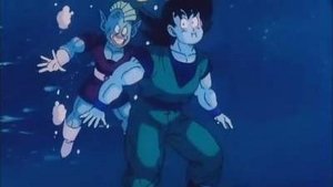 Dragon Ball Z Ćwierćfinały